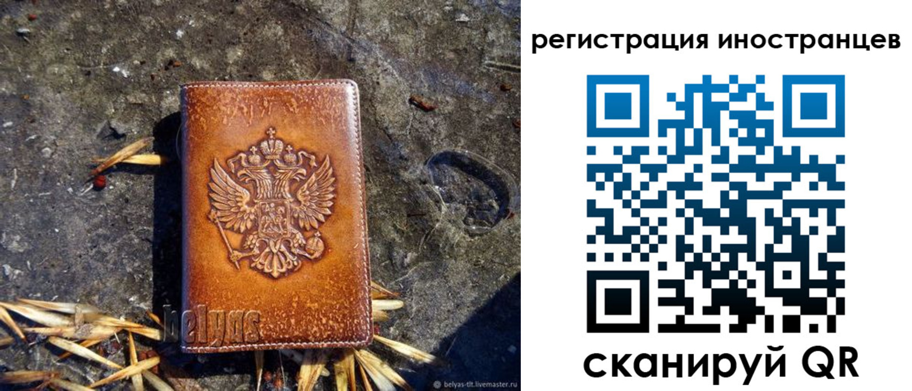 прописка регистрация в Нововоронеже